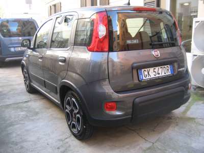 auto usate New Panda
