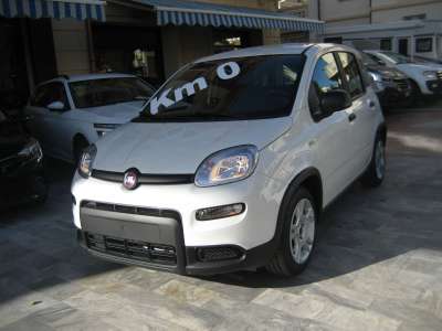 auto usate New Panda
