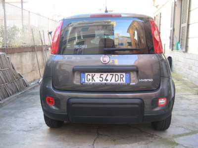 auto usate New Panda
