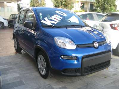 auto usate New Panda
