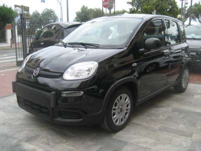 auto usate New Panda
