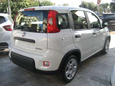 auto usate New Panda
