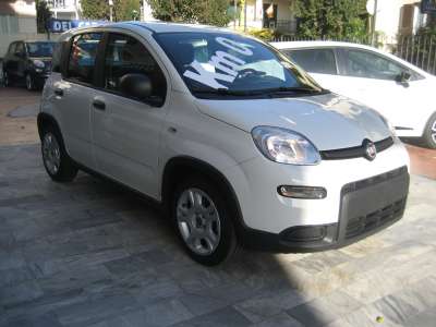 auto usate New Panda
