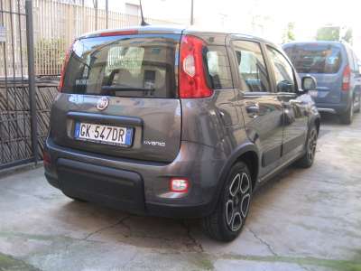 auto usate New Panda
