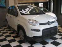 auto usate Fiat New Panda
