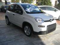 auto usate Fiat New Panda
