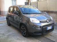 auto usate Fiat New Panda
