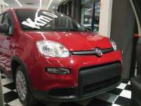 auto usate Fiat New Panda
