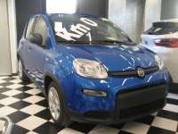 auto usate Fiat New Panda
