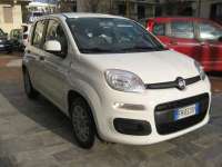 auto usate Fiat New Panda
